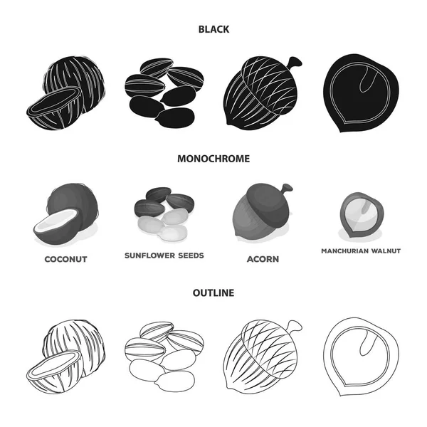 Kokos, acorn, zonnebloempitten, manchueian walnoot. Verschillende soorten noten ingesteld collectie iconen in zwart, zwart-wit, overzicht stijl vector symbool stock illustratie web. — Stockvector