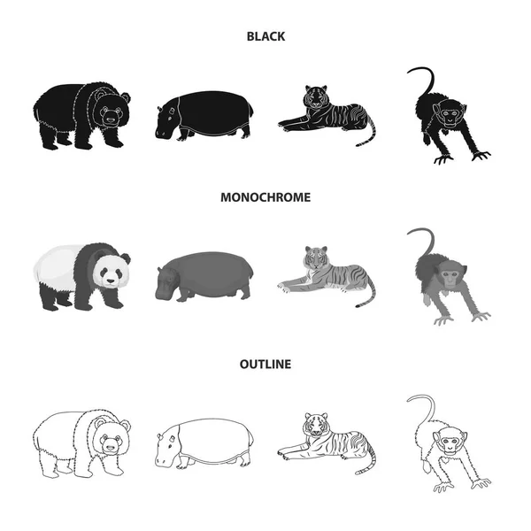 Ours en bambou, hippopotame, tigre animal sauvage, singe. Ensemble d'animaux sauvages icônes de la collection en noir, monochrome, contour style vectoriel symbole illustration web . — Image vectorielle