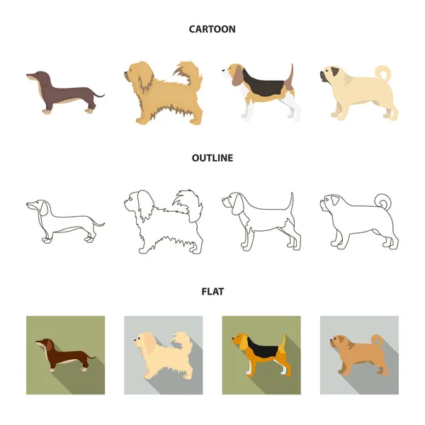 Pikinise, bassotto, carlino, peggy. Razze cane set icone di raccolta in cartone animato, contorno, stile piatto vettore simbolo stock illustrazione web . — Vettoriale Stock