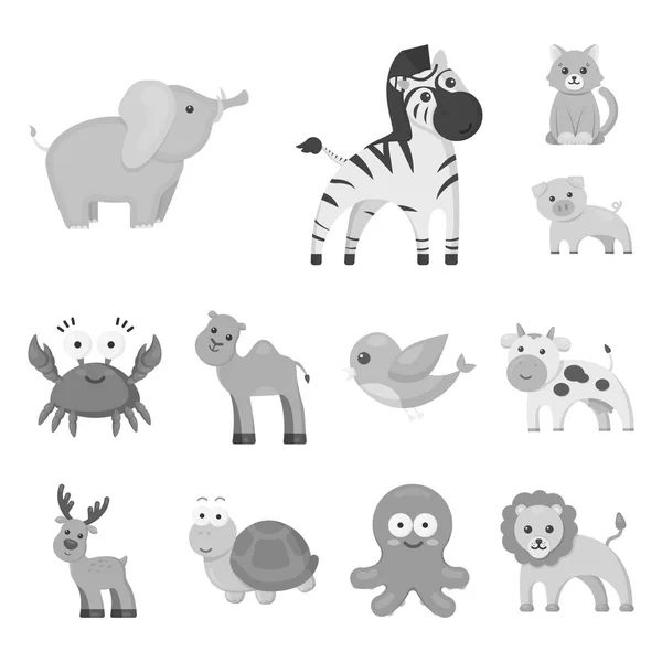 Iconos de animales monocromáticos poco realistas en la colección de conjuntos para el diseño. Animales de juguete vector símbolo stock web ilustración . — Archivo Imágenes Vectoriales