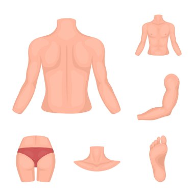 Vücut, bacak karikatür simgeleri tasarım için küme toplama bir parçası. İnsan anatomisi vektör simge stok web çizimi.