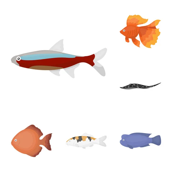 Diferentes tipos de iconos de dibujos animados de peces en la colección de conjuntos para el diseño. Marino y acuario peces vector símbolo stock web ilustración . — Vector de stock