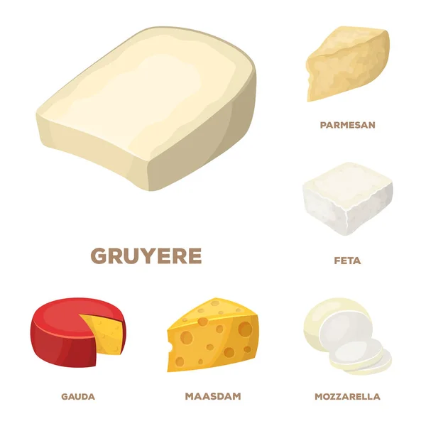 Diferentes tipos de iconos de dibujos animados de queso en la colección de conjuntos para design.Milk producto queso vector símbolo stock web ilustración . — Archivo Imágenes Vectoriales