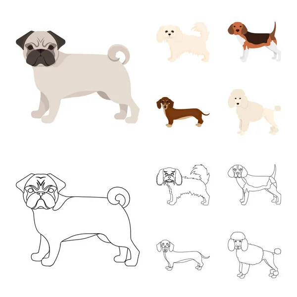 Perro razas de dibujos animados, iconos de contorno en la colección de conjuntos para design.Dog mascota vector símbolo stock web ilustración . — Vector de stock