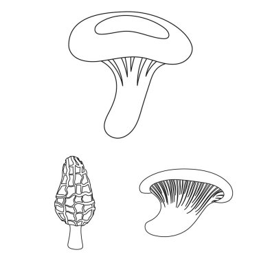 Set koleksiyonu tasarım için zehirli ve yenilebilir mantar anahat simgeleri. Mantar farklı türde sembol stok web illüstrasyon vektör.