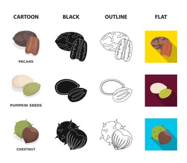 Cevizli, çam fıstığı, kabak çekirdeği, kestane. Farklı türdeki fındık toplama simgeler ayarlayın çizgi film, siyah, anahat, düz stil vektör simge stok çizim web.