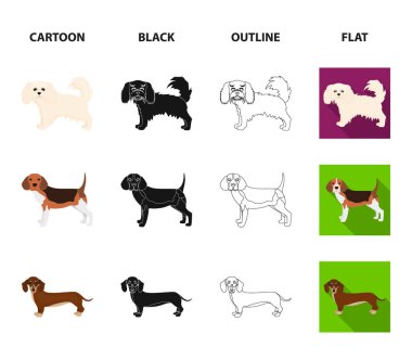Köpek ırkları çizgi film, siyah, anahat, set koleksiyonu tasarım için düz simgeler. Köpek evde beslenen hayvan vektör simge stok web çizim.