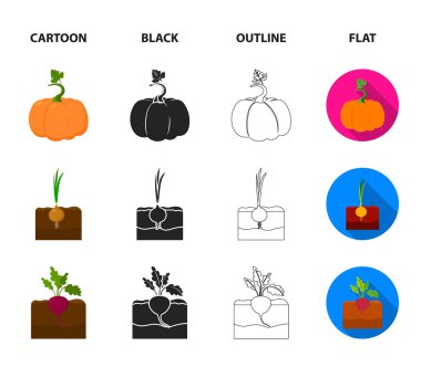 Lahana, kabak, soğan, buriak. Bitki koleksiyonu Icons set çizgi film, siyah, anahat, düz stil vektör simge stok çizim web.