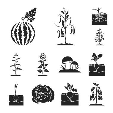 Bitki, sebze siyah simgeler toplama tasarımı için ayarlayın. Bahçe ve hasat sembol stok web illüstrasyon vektör.