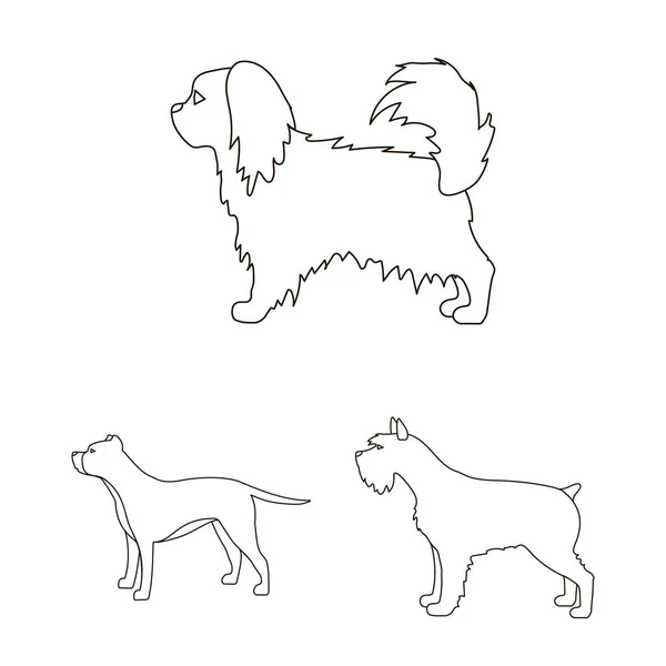 Kutyafajták vázlat ikonok beállítása gyűjtemény a design. Kutya kisállat vektor szimbólum állomány honlap illusztráció. — Stock Vector