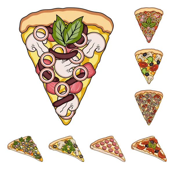 Diverse icone dei cartoni animati pizza nella collezione set per il design.Pizza cibo vettore simbolo stock web illustrazione . — Vettoriale Stock