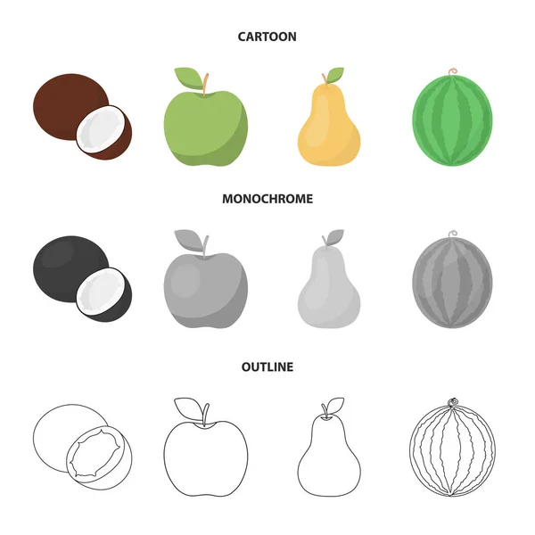 Noix de coco, pomme, poire, pastèque. Fruits ensemble icônes de la collection en dessin animé, contour, monochrome style vectoriel symbole illustration web . — Image vectorielle