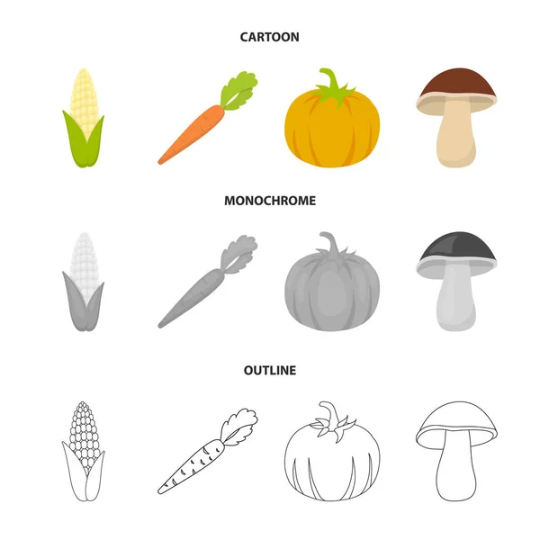 Maïs, carottes vitaminées avec dessus, citrouille, champignon forestier. Légumes mis icônes de collection en dessin animé, contour, monochrome style vectoriel symbole illustration web . — Image vectorielle