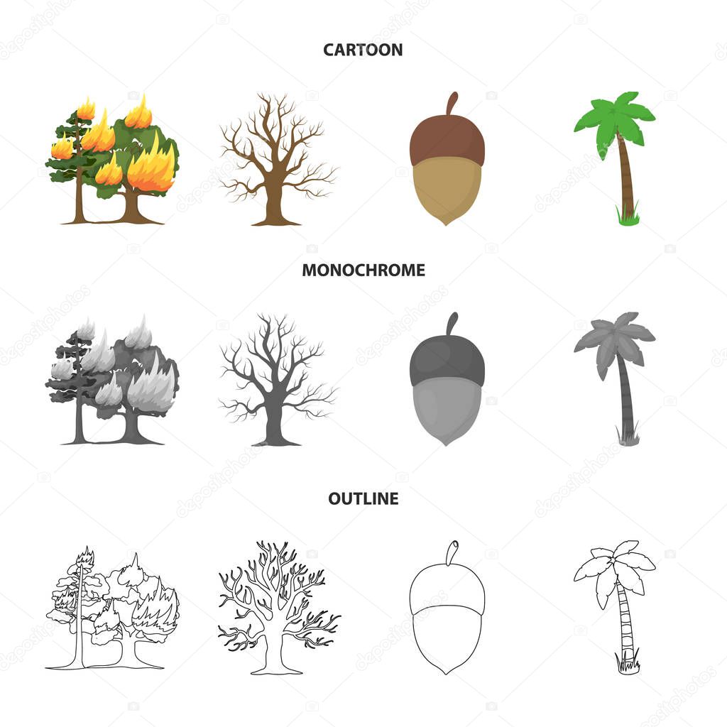Burning tree, palm, acorn, dry tree.Forest set collection icons in cartoon,outline,monochrome style vector symbol stock illustration web.