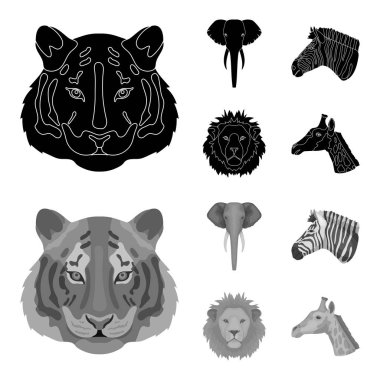 Kaplan, aslan, fil, zebra, gerçekçi hayvanları toplama simgeler siyah, monochrom stil vektör simge stok çizim web ayarla.