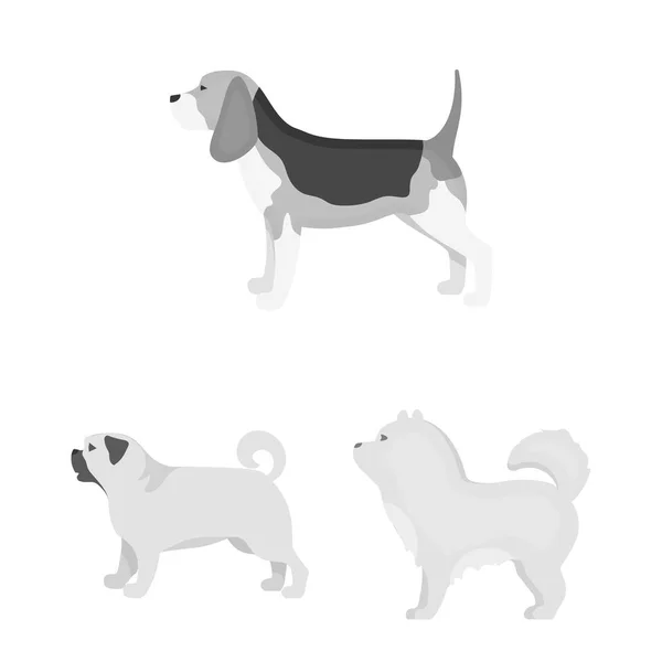 狗在集合中滋生单色图标以供设计。狗宠物矢量符号股票网页插图. — 图库矢量图片