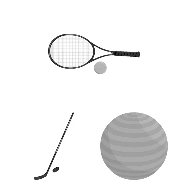 Diferentes tipos de ícones monocromáticos esportivos na coleção de conjuntos para design. Equipamento desportivo símbolo vetorial ilustração web stock . — Vetor de Stock