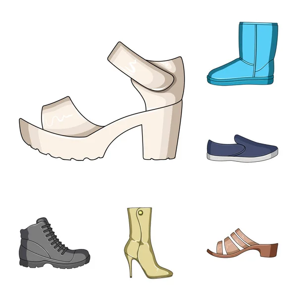 Diferentes zapatos iconos de dibujos animados en la colección de conjuntos para el diseño. Hombres y mujeres zapatos vector símbolo stock web ilustración . — Vector de stock