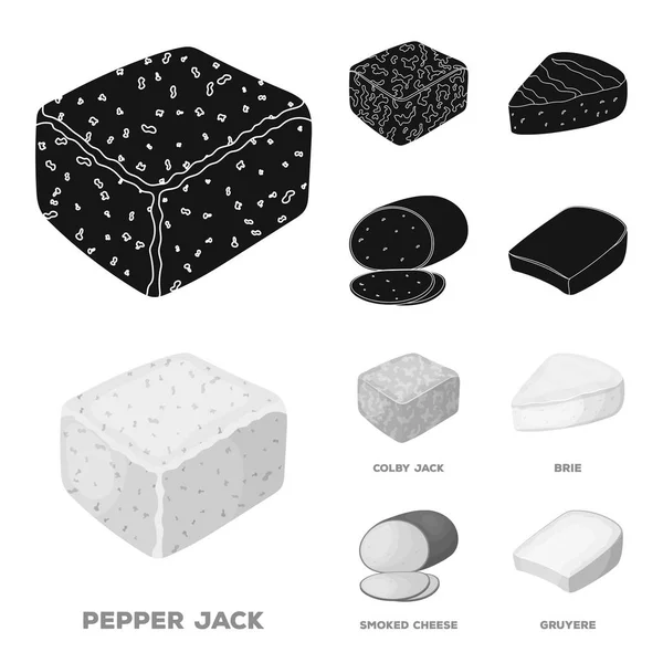 Brynza, gerookt, colby jack, peper jack. Verschillende soorten kaas collectie iconen in zwart, monochrom stijl vector symbool stock illustratie web instellen. — Stockvector