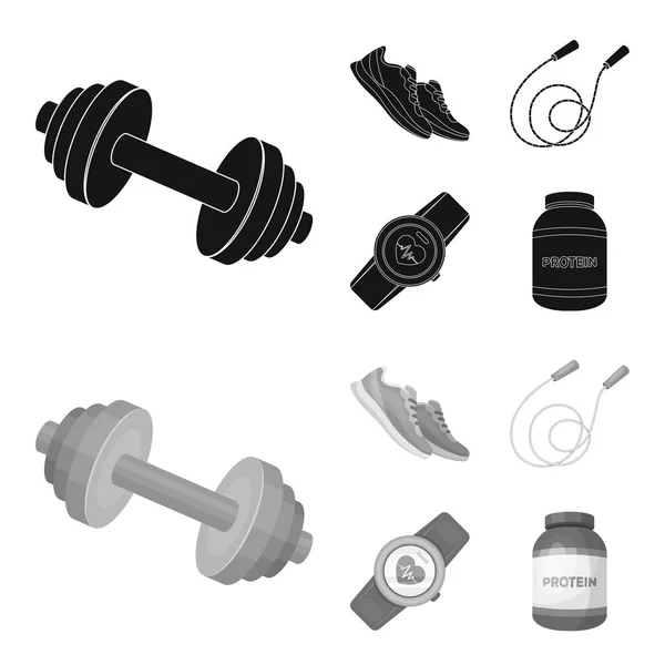 Hantel, Seil und andere Geräte für das Training. Fitnessstudio und Workout Set Sammlung Symbole in schwarz, Monochrom-Stil Vektor-Symbol Stock Illustration Web. — Stockvektor