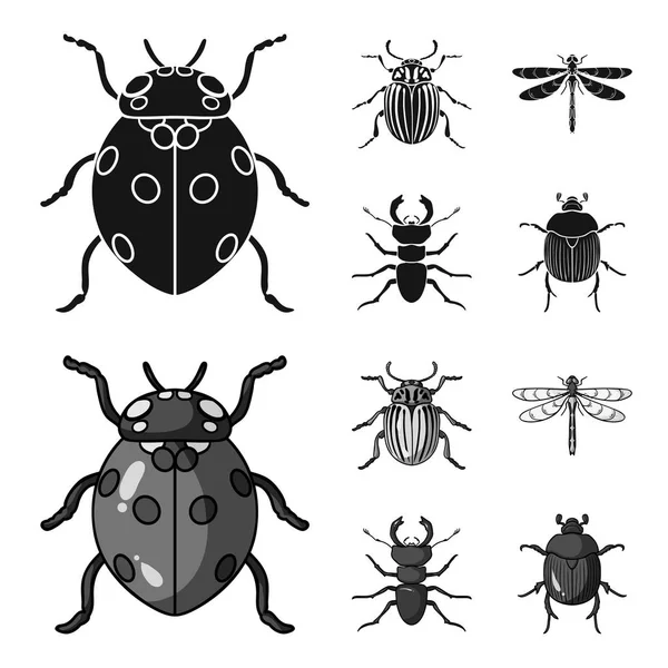 Insect, bug, beetle, paw .Insects set collection icons in black,monochrom style vector symbol stock illustration web. — Stock Vector