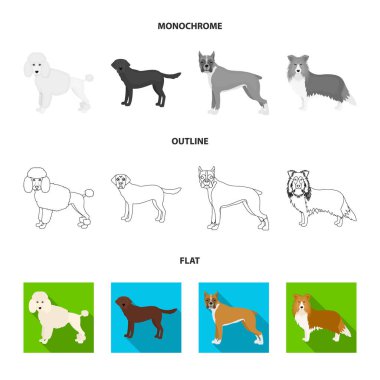 Köpek ırkları düz, anahat, set koleksiyonu tasarım için tek renkli simgeler. Köpek evde beslenen hayvan vektör simge stok web çizim.