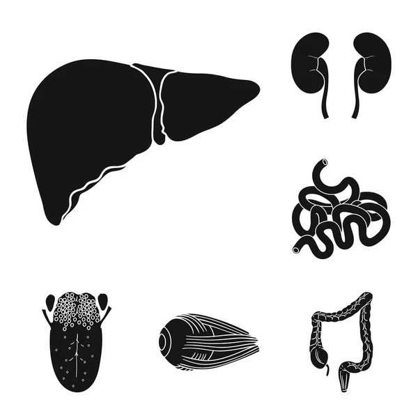 Mänskliga organ svart ikoner i set samling för design. Anatomi och inre organ vektor symbol lager web illustration. — Stock vektor