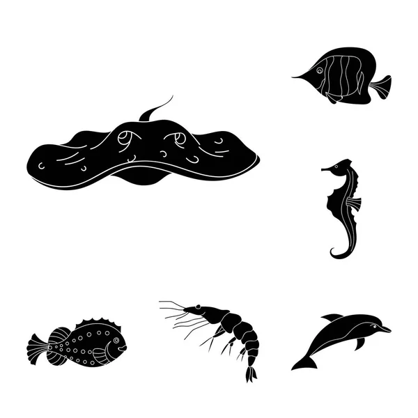 Разнообразные морские животные черным по белому в коллекции дизайна. Рисунок векторных символов рыбы и моллюсков . — стоковый вектор