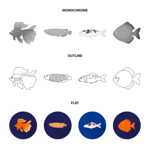 Discus, oro, carpa, koi, scleropagi, fotmosus.Fish set icone di raccolta in piatto, contorno, stile monocromatico vettore simbolo stock illustrazione web . — Vettoriale Stock