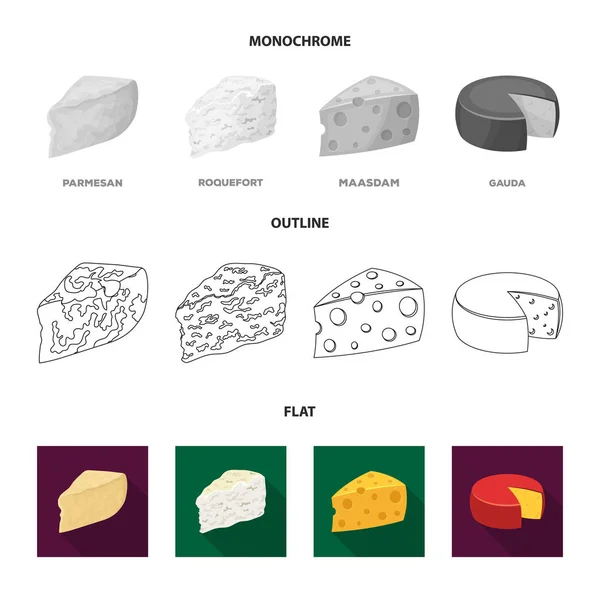 Parmesan, roquefort, maasdam, gauda.Different types of cheese set collection icons in flat,outline,monochrome style vector symbol stock illustration web. — Stock Vector