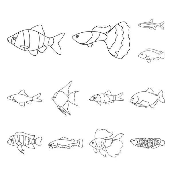 Différents types d'icônes de contour de poisson dans la collection ensemble pour la conception. Illustration de la toile du symbole vectoriel poisson marin et aquarium . — Image vectorielle