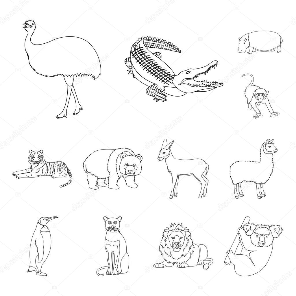 Different animals outline icons in set collection for design. Bird, predator and herbivore vector symbol stock web illustration.