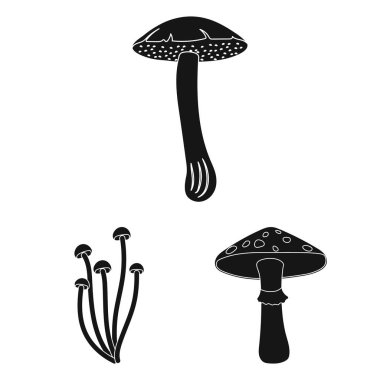 Zehirli ve yenilebilir mantar siyah simgeler set koleksiyonu tasarım için. Mantar farklı türde sembol stok web illüstrasyon vektör.