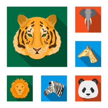 Set koleksiyonu tasarım için vahşi hayvan düz simgeler. Mammal ve kuş sembol stok web illüstrasyon vektör.