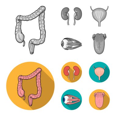 Böbrek, mesane, gözü, dili. İnsan organlarını toplama simgeler tek renkli, düz stil vektör simge stok çizim web ayarla..