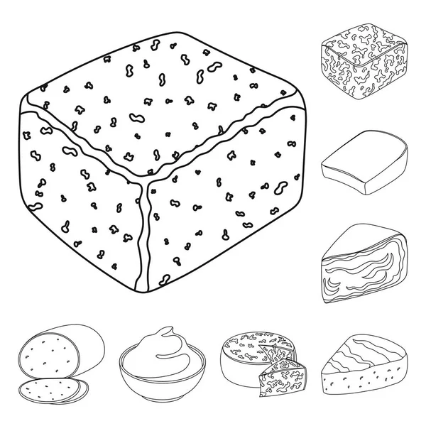 Diferentes tipos de iconos de contorno de queso en la colección de conjuntos para design.Milk producto queso vector símbolo stock web ilustración . — Vector de stock
