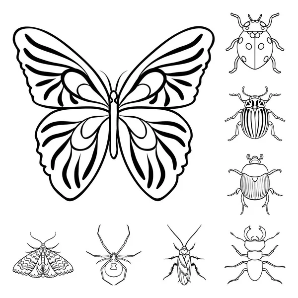 Diferentes tipos de insetos delineiam ícones na coleção de conjuntos para design. Inseto artrópode vetor símbolo web ilustração . — Vetor de Stock