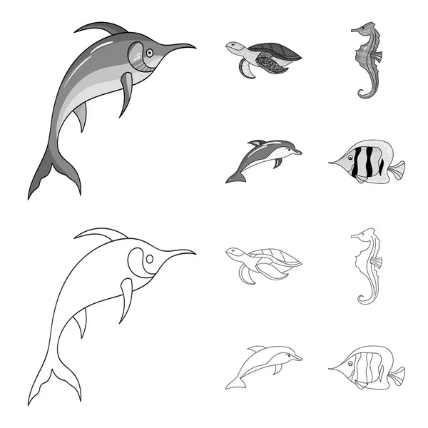 Merlín, tortuga y otras especies.Los animales marinos establecen iconos de colección en el contorno, el estilo monocromo vector símbolo stock ilustración web . — Vector de stock