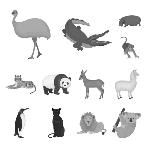 Différents animaux icônes monochromes dans la collection ensemble pour le design. Illustration de la toile du symbole vectoriel oiseau, prédateur et herbivore . — Image vectorielle