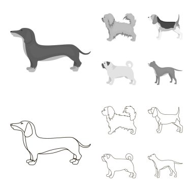 Pikinise, dachshund, pug, peggy. Köpek ırkları toplama simgeler anahat, tek renkli stil vektör simge stok çizim web ayarla..