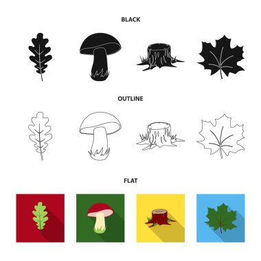 Meşe yaprağı, mantar, stump, akçaağaç yaprağı. Orman koleksiyonu Icons set siyah, düz, anahat stili vektör simge stok çizim web.