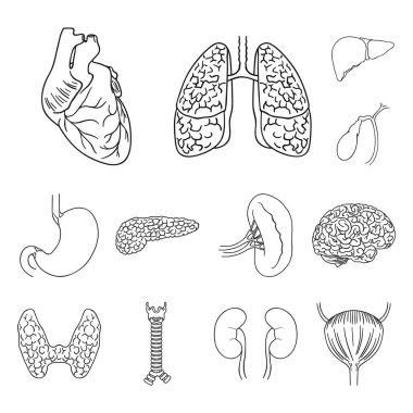 İnsan organlarını set koleksiyonu tasarım için simgeleri anahat. Sembol stok web illüstrasyon vektör anatomi ve iç organlar.