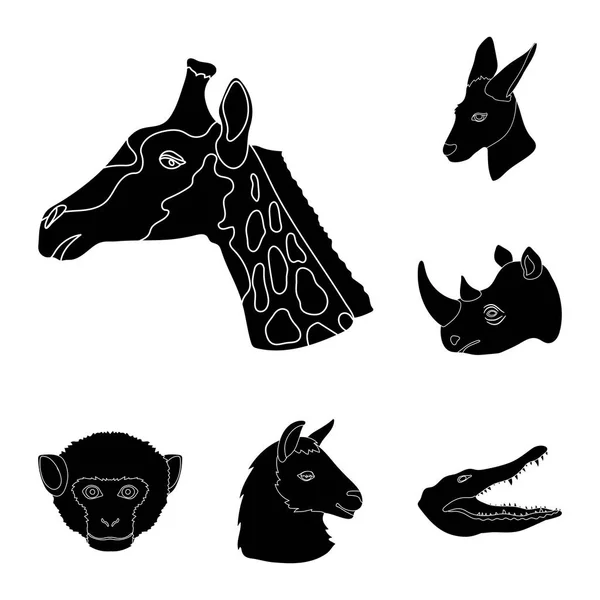 Animaux sauvages icônes noires dans la collection ensemble pour le design. Illustration web du symbole vecteur mammifère et oiseau . — Image vectorielle