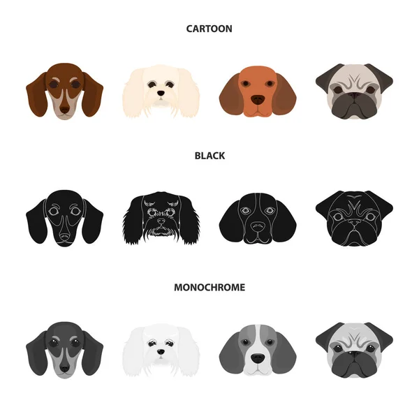 Mynningen på olika hundraser. Hund som rasen Tax, beagle, knähund, mops samling ikoner i tecknad, svart, svartvit stil vektor symbol stock illustration web. — Stock vektor