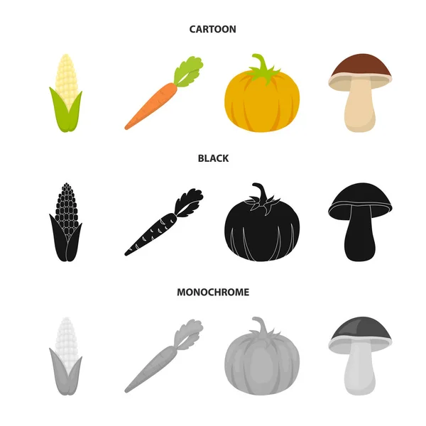 Kukurydza kukurydza, marchew witaminy z grzybami lasu blaty, dyni. Warzywa zestaw kolekcji ikon w www czas ilustracja kreskówka, czarny, monochromatyczne styl wektor symbol. — Wektor stockowy