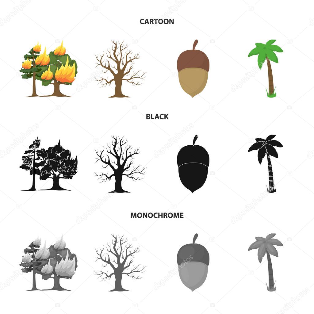 Burning tree, palm, acorn, dry tree.Forest set collection icons in cartoon,black,monochrome style vector symbol stock illustration web.