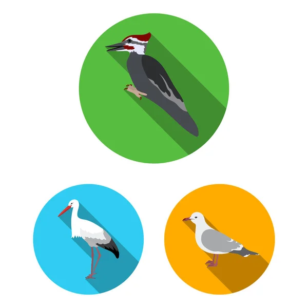 Tipos de pájaros iconos planos en colección de conjuntos para el diseño. Inicio y aves silvestres vector símbolo stock web ilustración . — Vector de stock