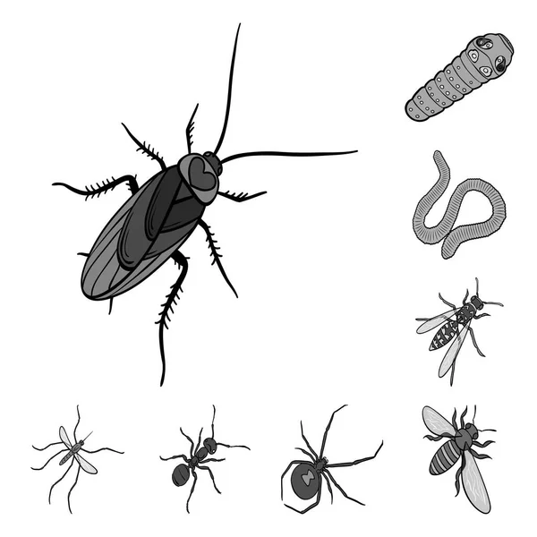 Différents types d'insectes icônes monochromes dans la collection de jeux pour la conception. Insecte arthropode vecteur isométrique symbole stock web illustration . — Image vectorielle