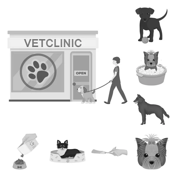 Sällskapsdjur svartvita ikoner i set insamling för design. Vård och utbildning vektor symbol lager web illustration. — Stock vektor