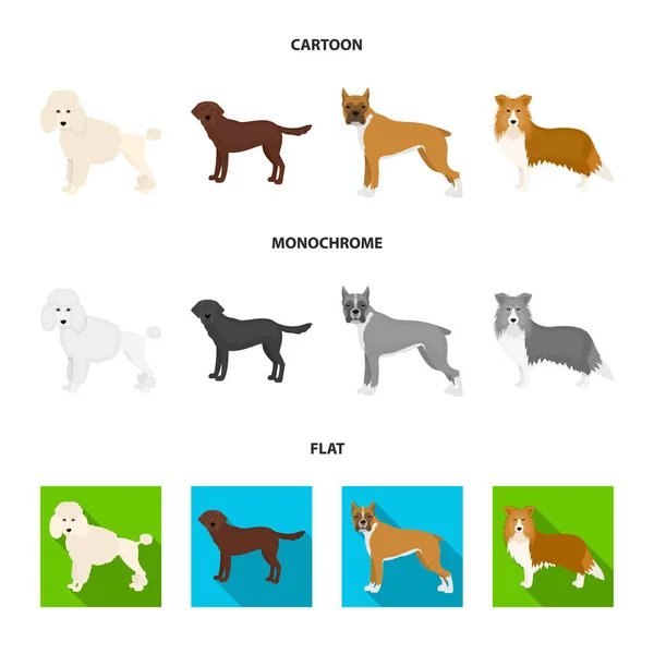 Perro razas de dibujos animados, planos, iconos monocromáticos en la colección de conjuntos para design.Dog mascota vector símbolo stock web ilustración . — Vector de stock